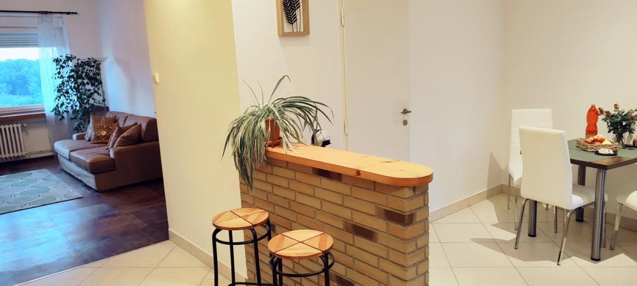 Danube Riverside Apartment With Quite Workplace Bratislava Exteriör bild