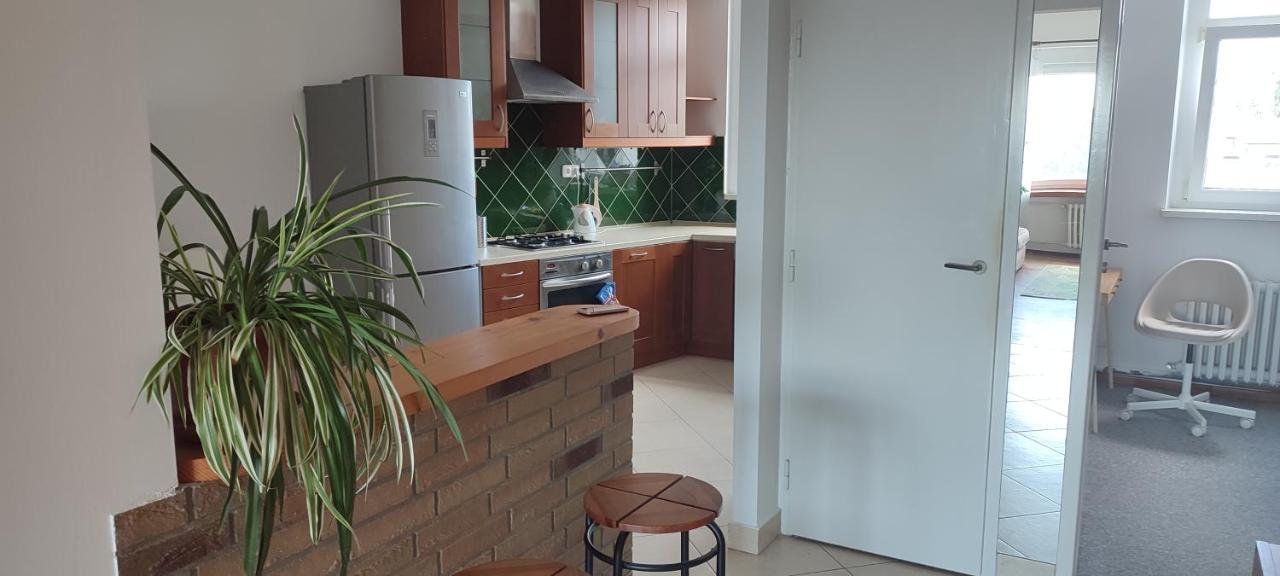 Danube Riverside Apartment With Quite Workplace Bratislava Exteriör bild